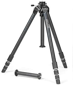 61p9J+10GNL._UF350,350_QL50_.jpg